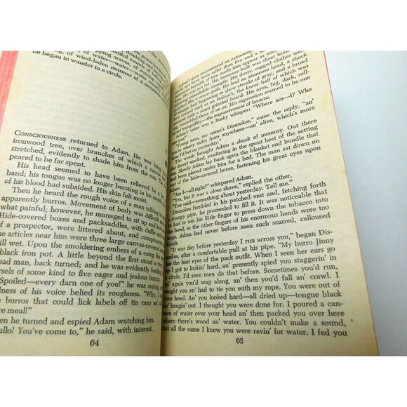 Zane Grey Book Wanderer of the Wasteland Paperback Vintage 1973 - Picture 9 of 10